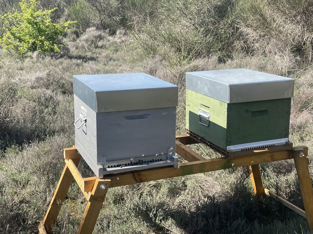Photo de nos nouvelles ruches a Alleins